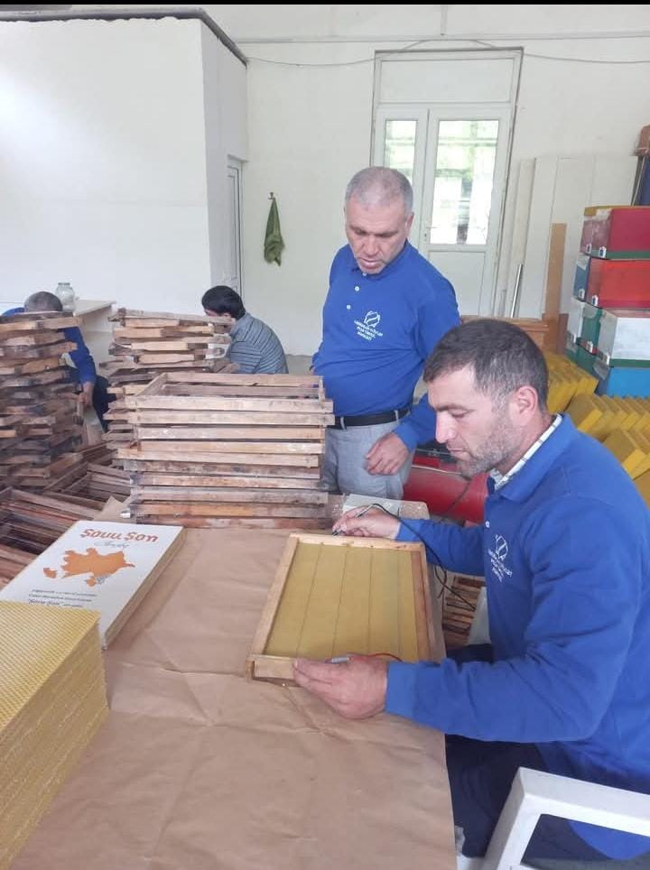 Lənkəranda Peşə Təhsil Mərkəzi arıçılıqla bağlı innovativ layihəyə dəstək oldu