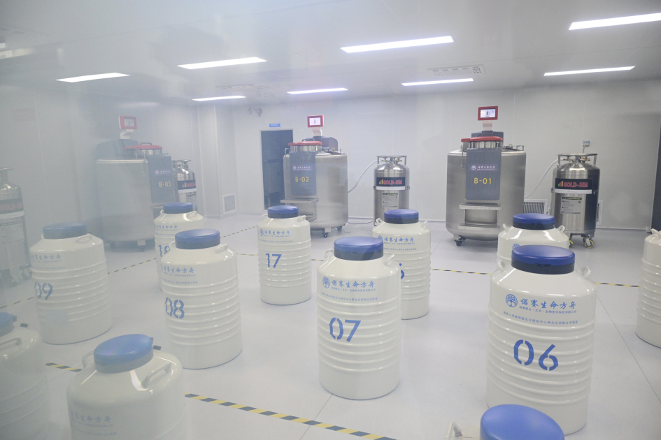 Leyla Əliyeva Çin Milli İnsan Genomu Mərkəzində olub