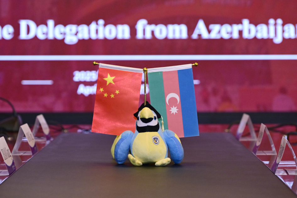 Leyla Əliyeva Pekin Xarici Dillər Universitetində tələbələrlə görüşüb