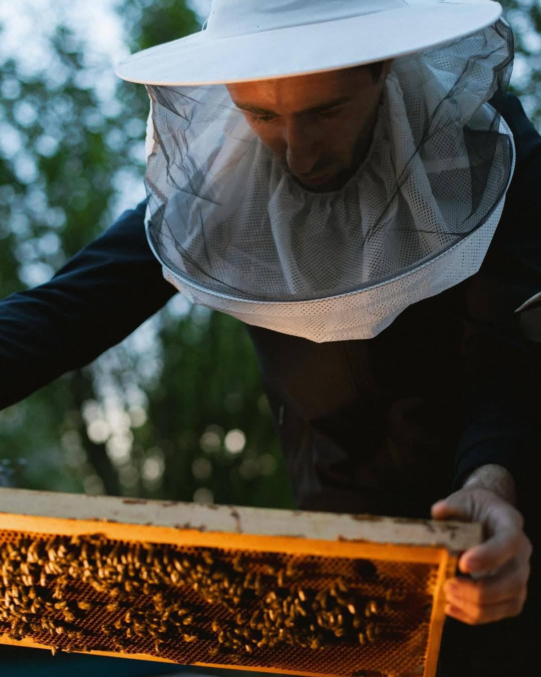 Leyla Əliyeva və Arzu Əliyeva gənc arıçının təsərrüfatını ziyarət ediblər