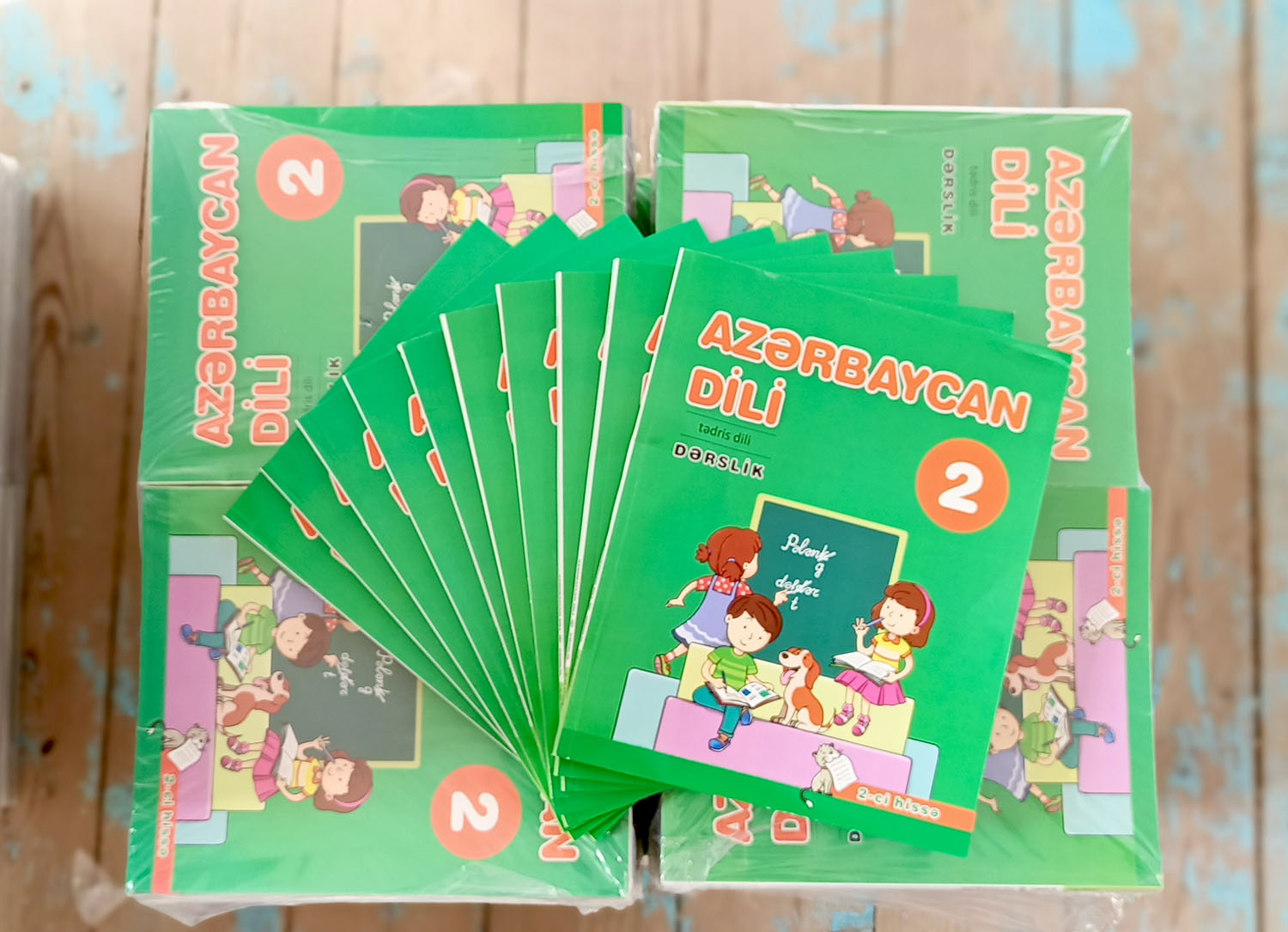 Mil-Muğan regionunun şagirdlərinə 307 minə yaxın dərslik paylanacaq