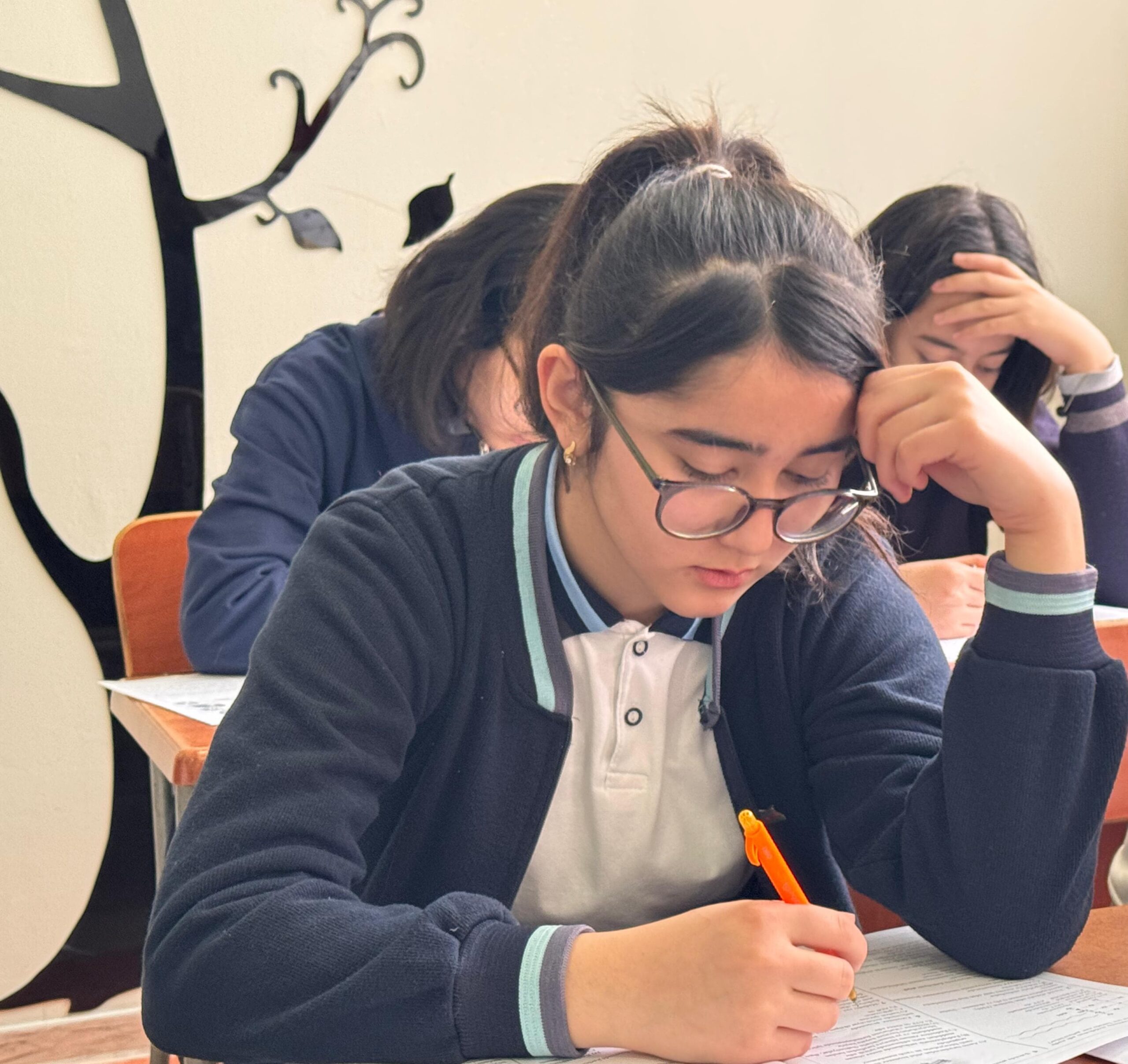 Naxçıvanda II Kimya-Biologiya Olimpiadasının rayon turu keçirilib