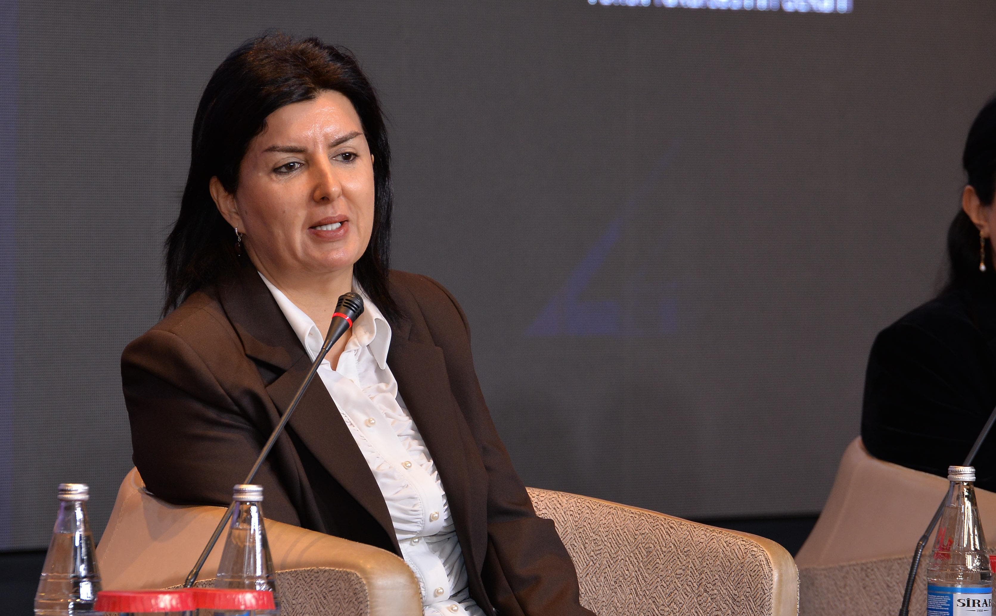 Nəzakət Mehdiyeva: Bütün fənn müəllimləri eyni meyarlar əsasında sertifikatlaşdırmadan keçəcəklər 