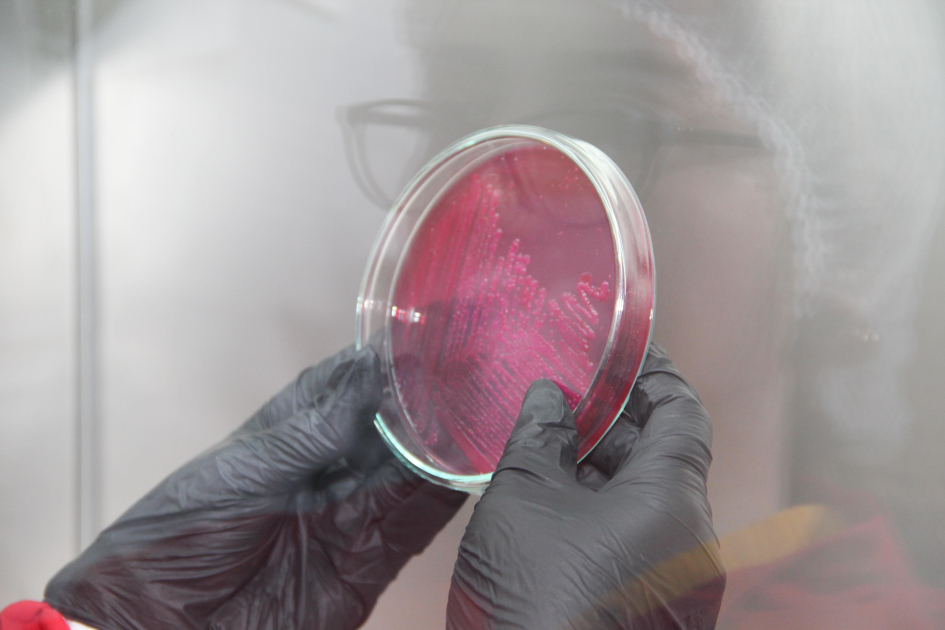 Ölkəmizdə ilk dəfə “Biotəhlükəsizlik və biomühafizə” fənni tədris olunacaq