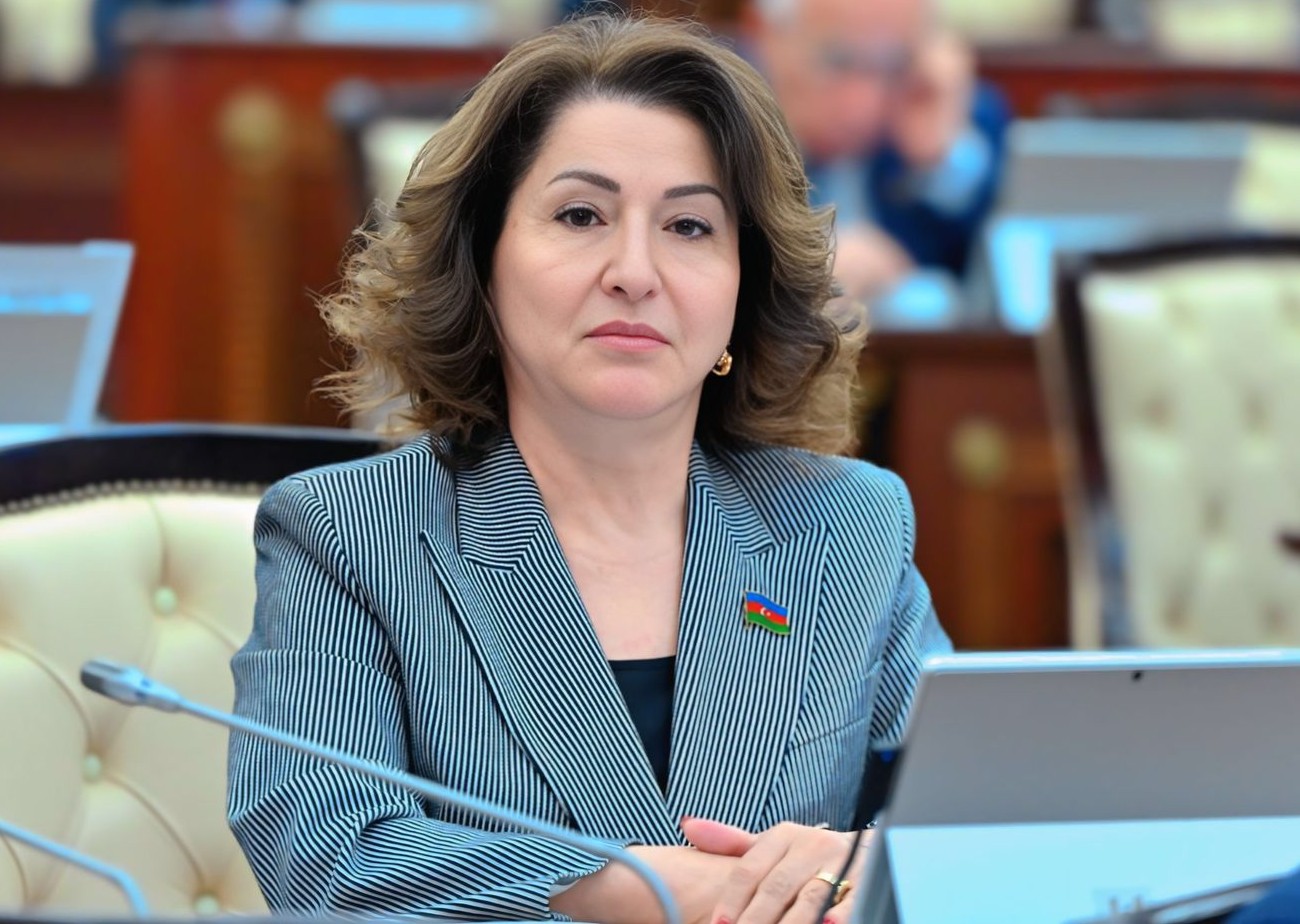 Optimallaşdırılma elmin gələcək inkişafına hesablanıb - Deputat 