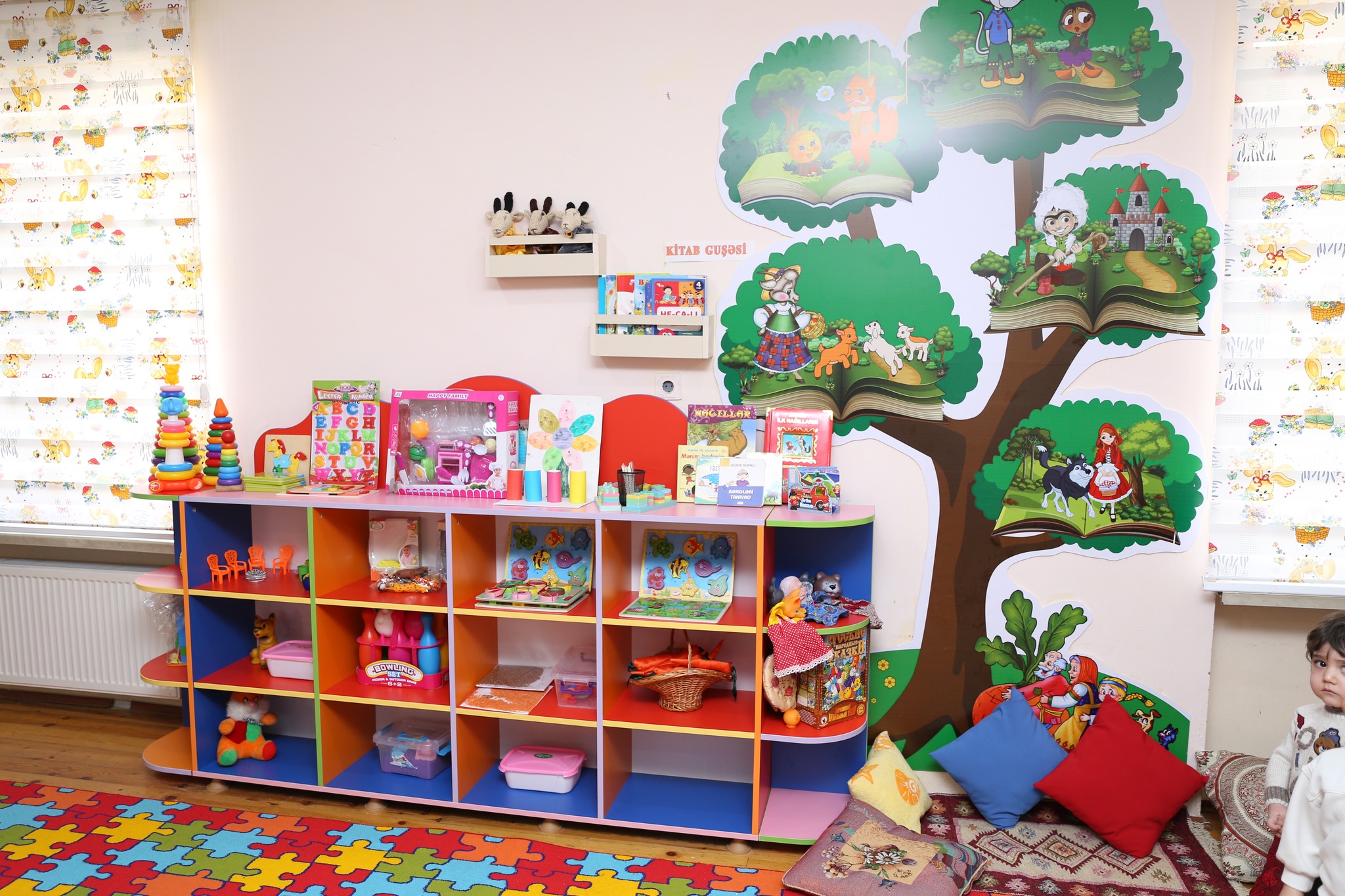 Özəl bağçalarda qrantla təhsil alan uşaqların sayı 5000 nəfərə çatdırılacaq 