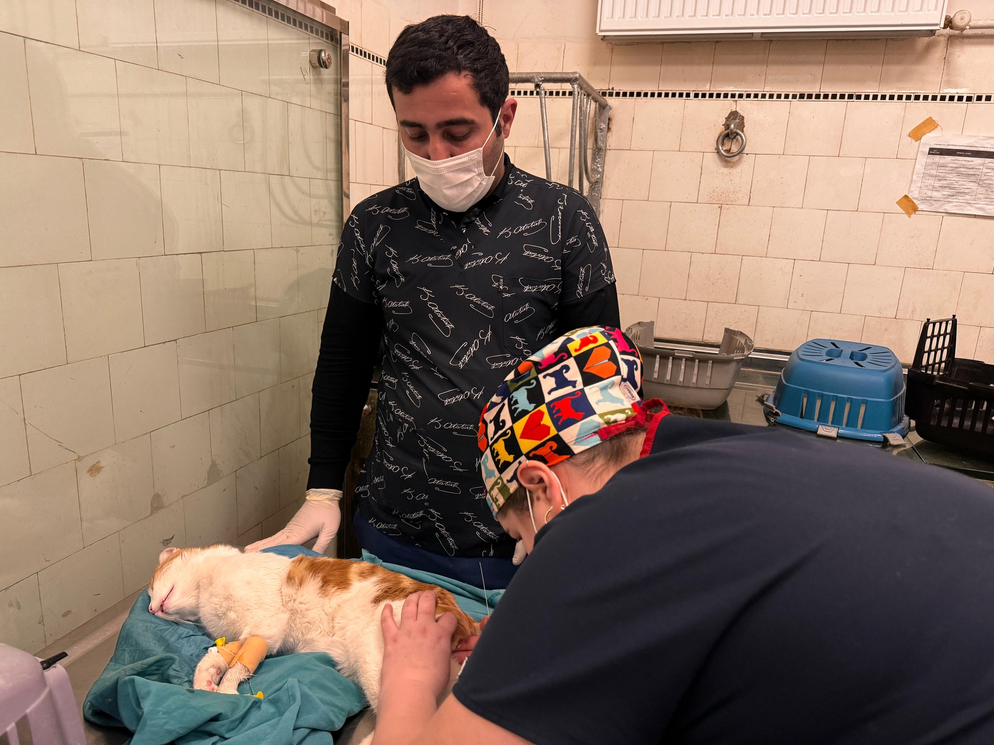 Peşə məktəblərinin mühəndis-pedaqoji heyəti Türkiyədə təlim keçir