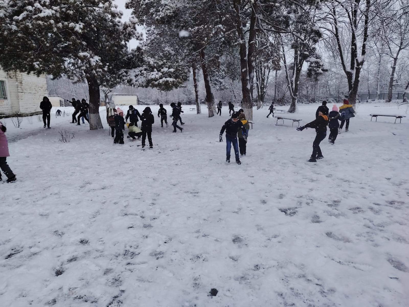 Qarlı hava şəraiti ilə əlaqədar məktəblərdə davamiyyət necədir? – AÇIQLAMA