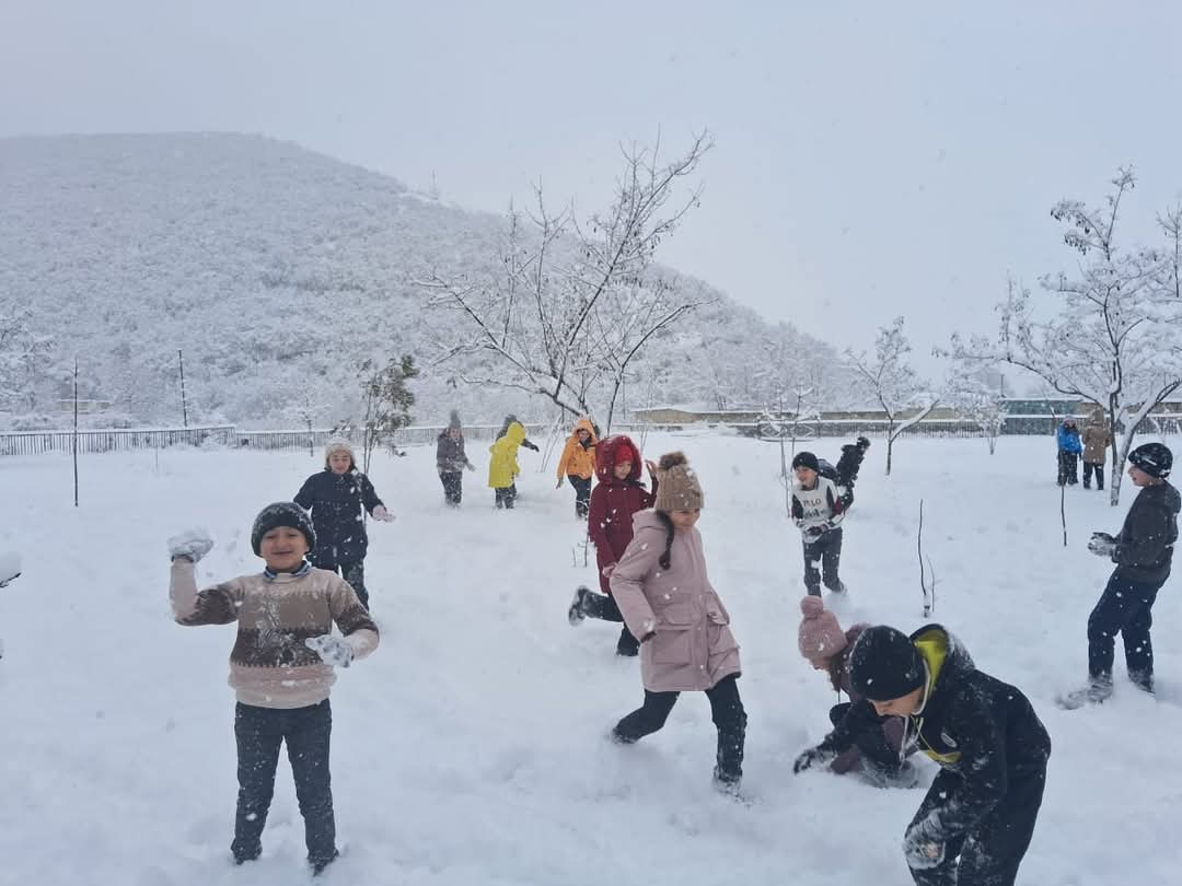Qarlı hava şəraiti ilə əlaqədar məktəblərdə davamiyyət necədir? – AÇIQLAMA