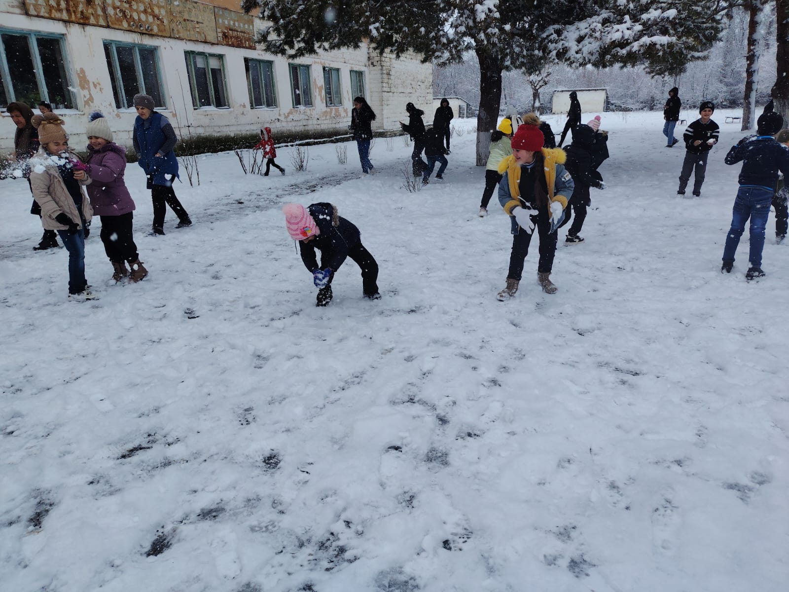 Qarlı hava şəraiti ilə əlaqədar məktəblərdə davamiyyət necədir? – AÇIQLAMA