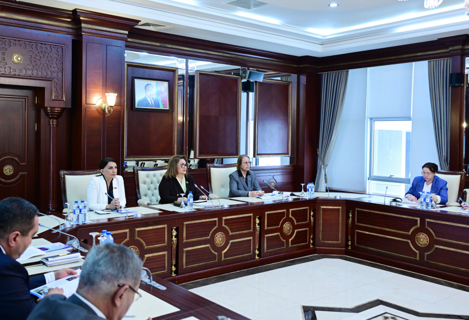 Qızların təhsildən yayınmasının qarşısının alınması və gender əsaslı təhsil islahatları təklif olunur 