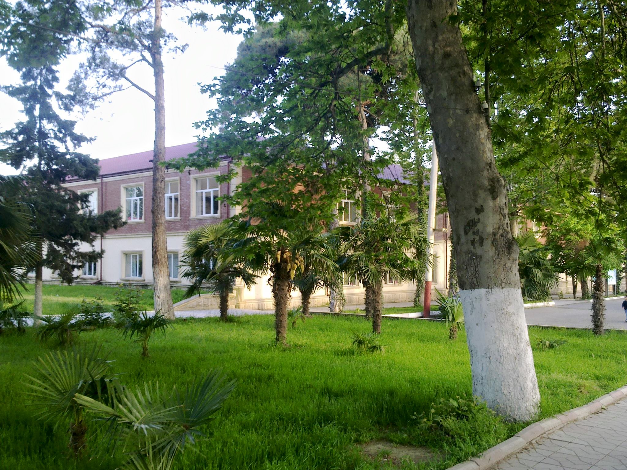 Rayon birinciləri, respublika uğurları: Göyçay məktəbinin uğur modeli