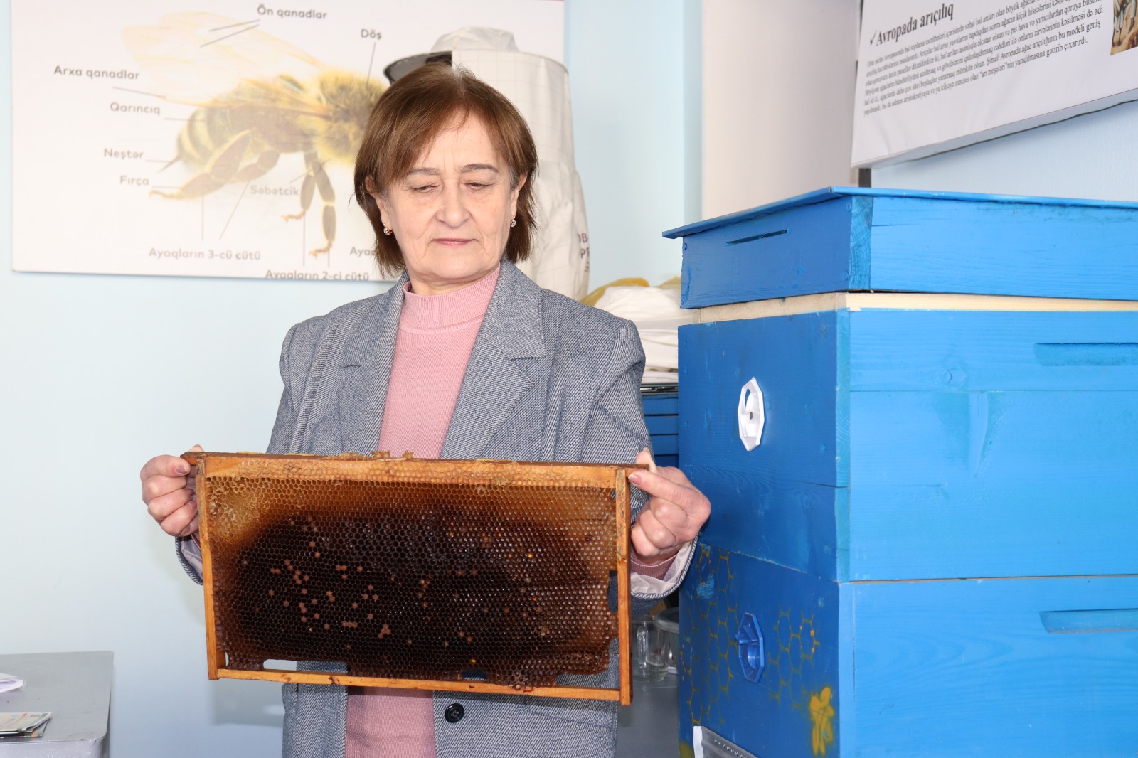 Rəhbər vəzifələrdən sonra 70 yaşında peşə təhsilini seçdi 