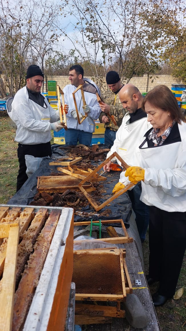 Rəhbər vəzifələrdən sonra 70 yaşında peşə təhsilini seçdi