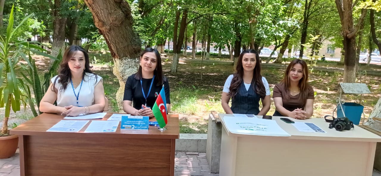 Stajsız da mümkündür: Naxçıvanda gənclər işlə təmin olunur - REPORTAJ