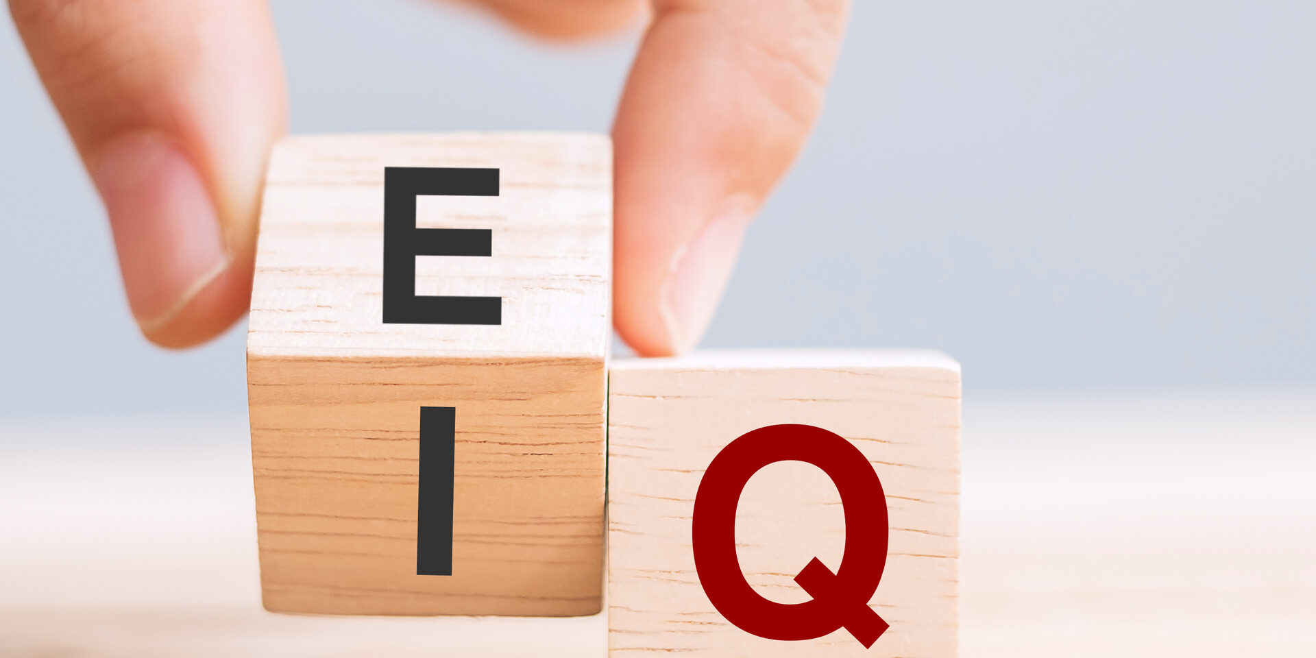 Təhsildə emosional zəkanın rolu 