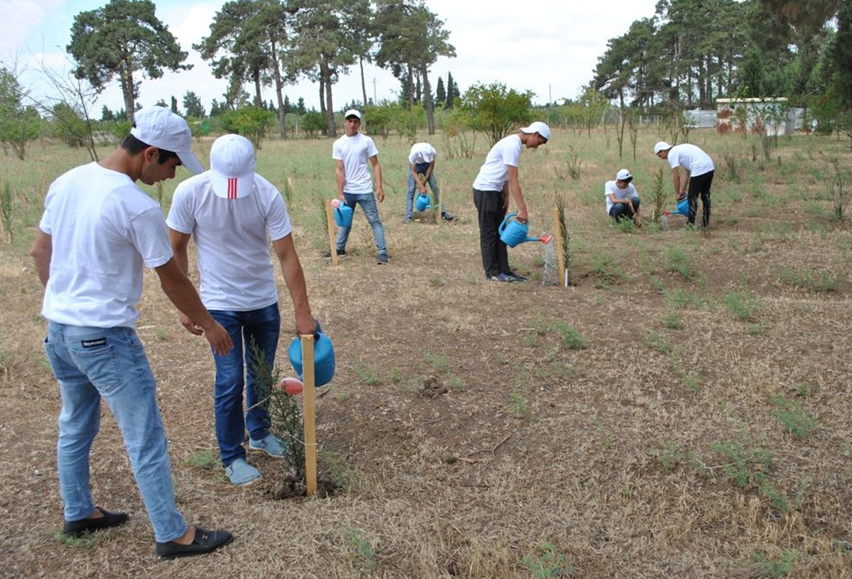 Təhsildə könüllülük: Ekoloji şüurdan kibertəhlükəsizliyə 