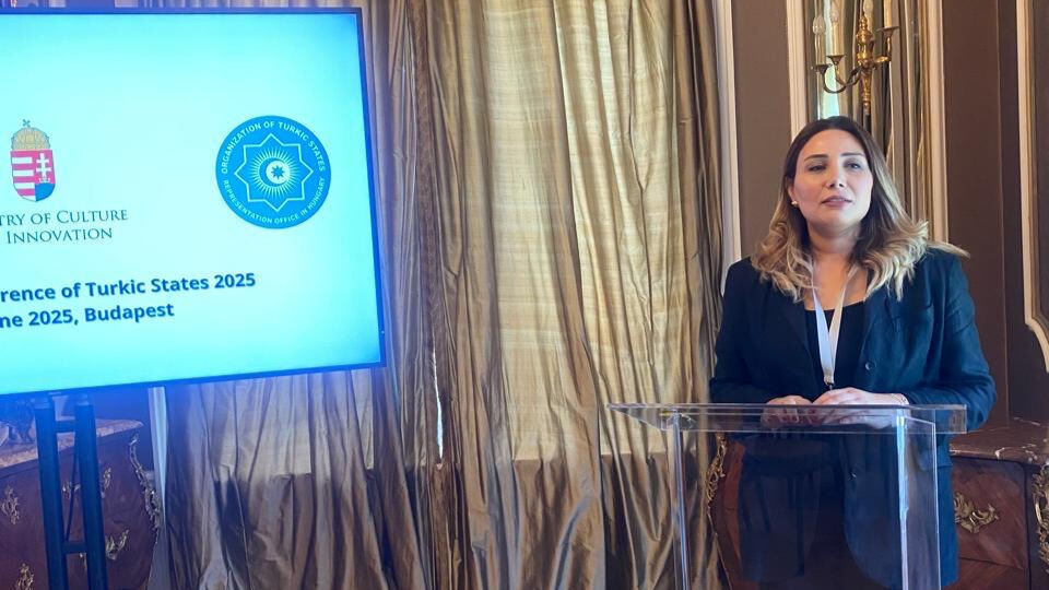 Türk Dövlətləri üçün Tədqiqat Fondu yaradıla bilər 