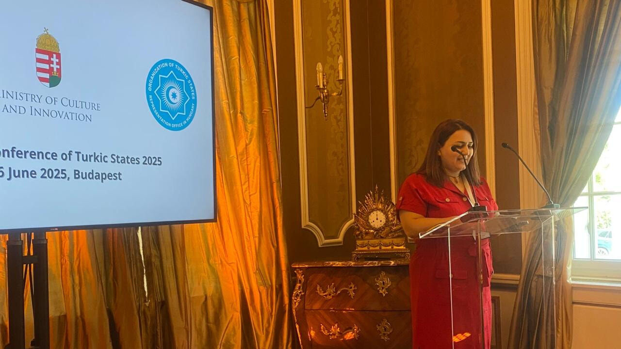 Türk Dövlətləri üçün Tədqiqat Fondu yaradıla bilər 