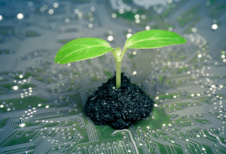 “Yaşıl hesablamalar: davamlı gələcək üçün innovasiyalar” mövzusunda elmi seminar keçirilib 