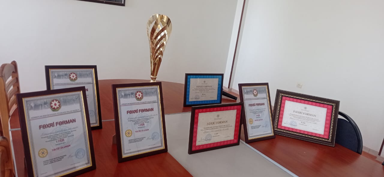 "Yorulsaq da, fikrimizdən dönmədik" – Maneələrə qalib gələn gənc xilasedicilər