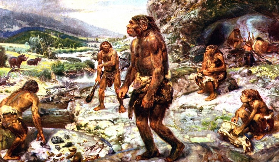 Yüksək proteinli ət insanların koqnitiv bacarıqlarını inkişaf etdirib - TƏDQİQAT 