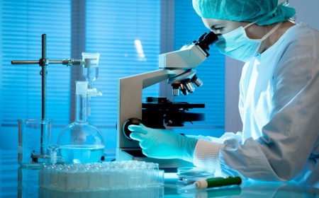 İnsan embrionları patent obyektləri kimi qəbul edilməyəcək