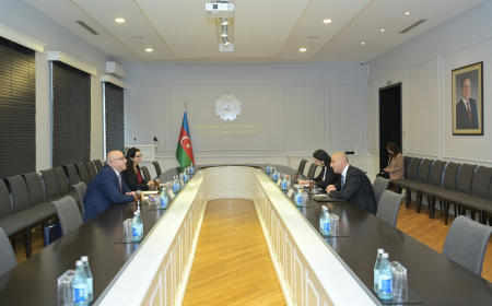 Emin Əmrullayev Fələstinin səfiri ilə görüşüb