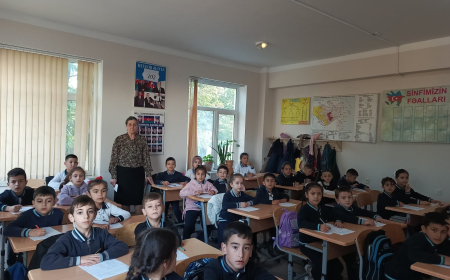 Zəfər ürəyimdə ağrı-acı ilə yoğrulmuş qürurdur – Şəhid anası