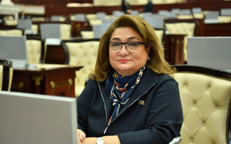 Hicran Hüseynova: Qadınların çoxu əmək bazarında aktiv iştirak edə bilmir 