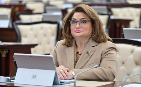 Komitə sədri: Bir çox uşaq bağçaları və məktəblərdə tibb işçiləri yoxdur