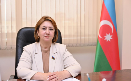 Yeni meyarlar praktik fəaliyyətə daha çox yönələcək – Deputat