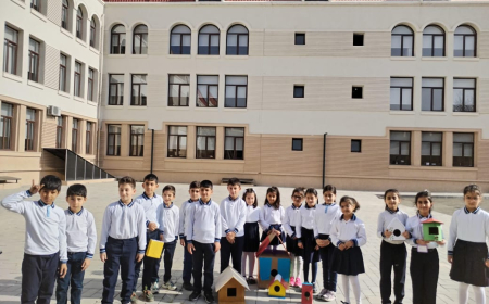 Şuşa məktəblilərindən maraqlı addım 