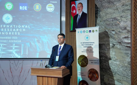 NDU Türkiyə universitetləri ilə Duz Araşdırmaları Tədqiqat Mərkəzi yaradacaq – Rektor