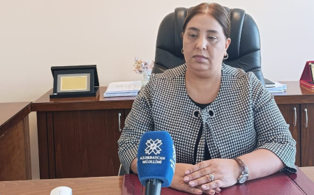 Komitə sədri: Naxçıvanda uşaqların keyfiyyətli təhsil alması üçün hərtərəfli şərait yaradılıb 