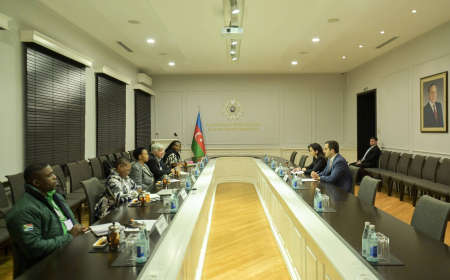 Nazir müavini Cənubi Afrika Respublikasından olan həmkarı ilə görüşüb 