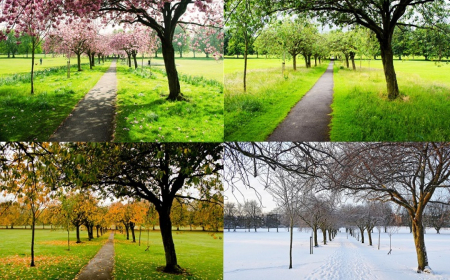 Fəsillərin Azərbaycana daxilolma vaxtları açıqlanıb 