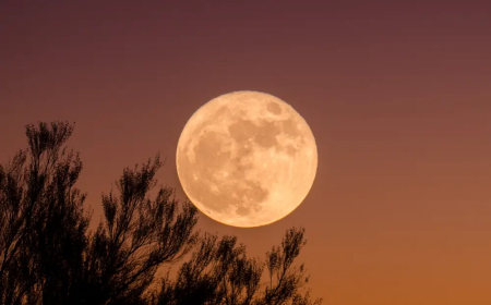 2026-cı ildə 2 Günəş və 2 Ay tutulması baş verəcək