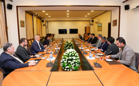 NDU-da əcnəbi müəllimlərlə görüş keçirilib 