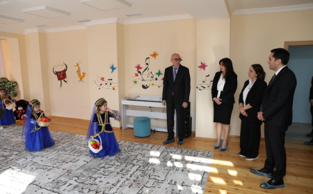 Nazir müavini Lənkəranda təhsil müəssisələrində olub 