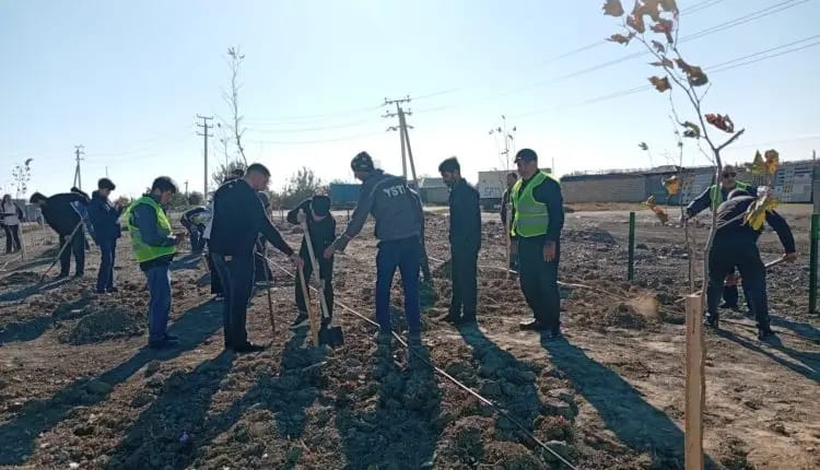 MDU tələbələri Mingəçevirdə yeni yaşıllıq zonası saldılar