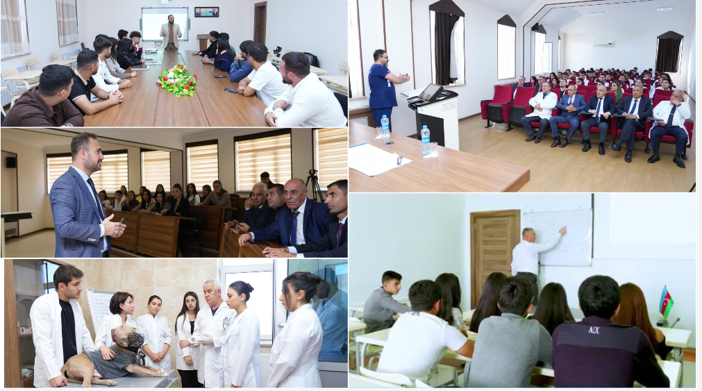 Tələbələr çox maraqlı suallar verirlər