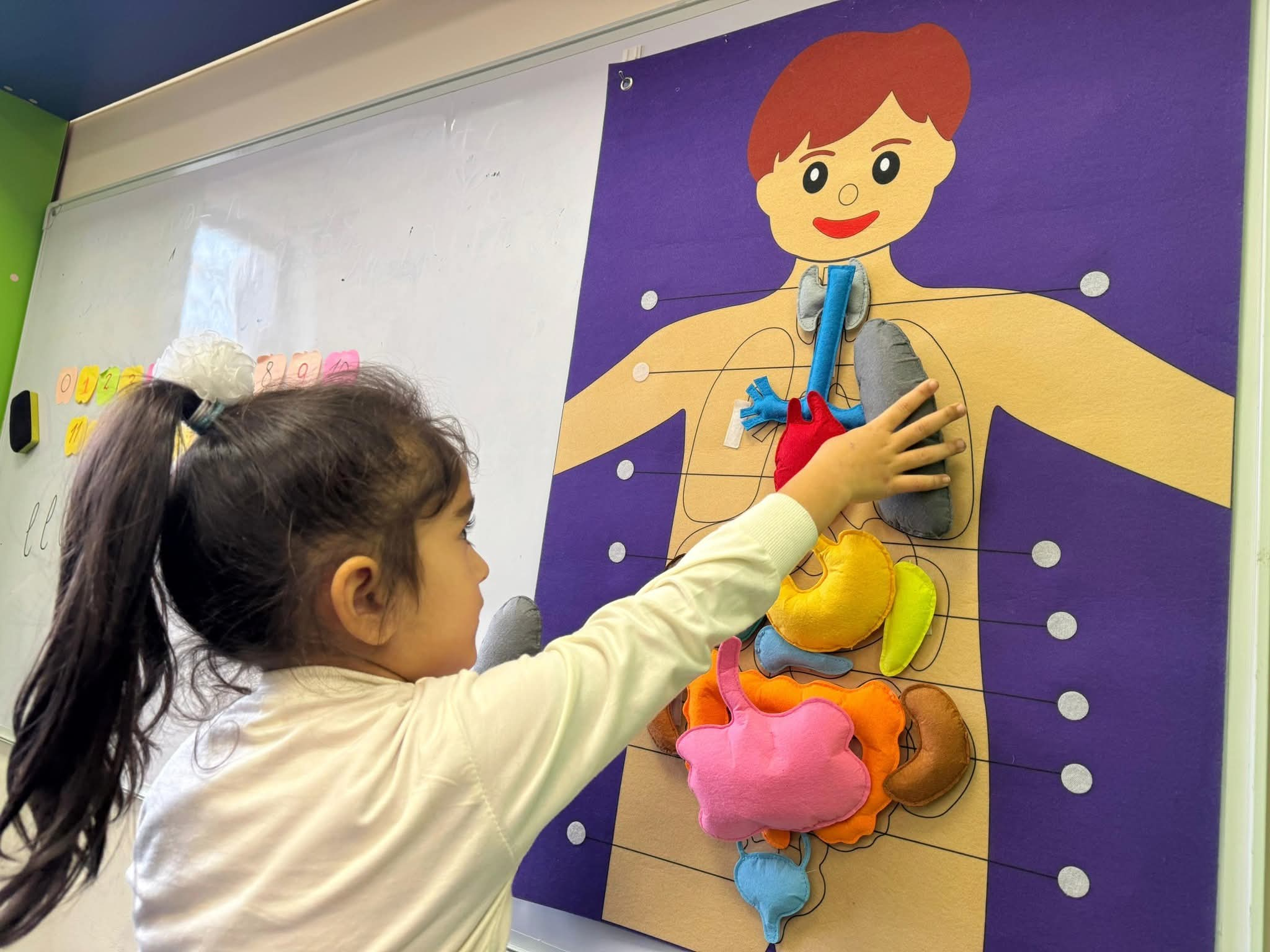 Şərqi Zəngəzurda  83 uşaq təhsilə ilk addımını atıb