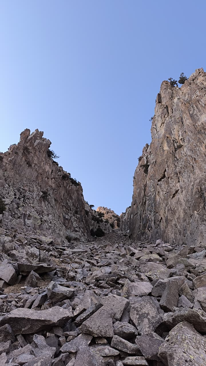 NDU-nun müəllim və tələbələri Haçadağ zirvəsinə Zəfər yürüşü ediblər