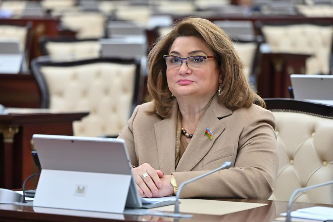 Komitə sədri: Bir çox uşaq bağçaları və məktəblərdə tibb işçiləri yoxdur