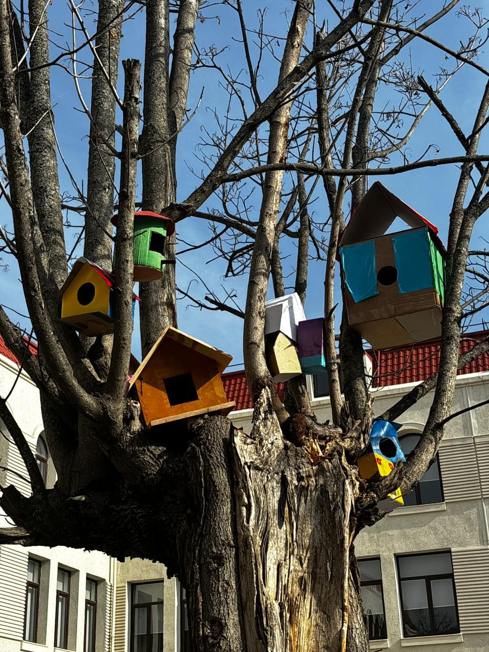 Şuşa məktəblilərindən maraqlı addım