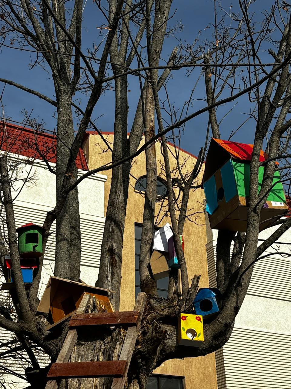 Şuşa məktəblilərindən maraqlı addım