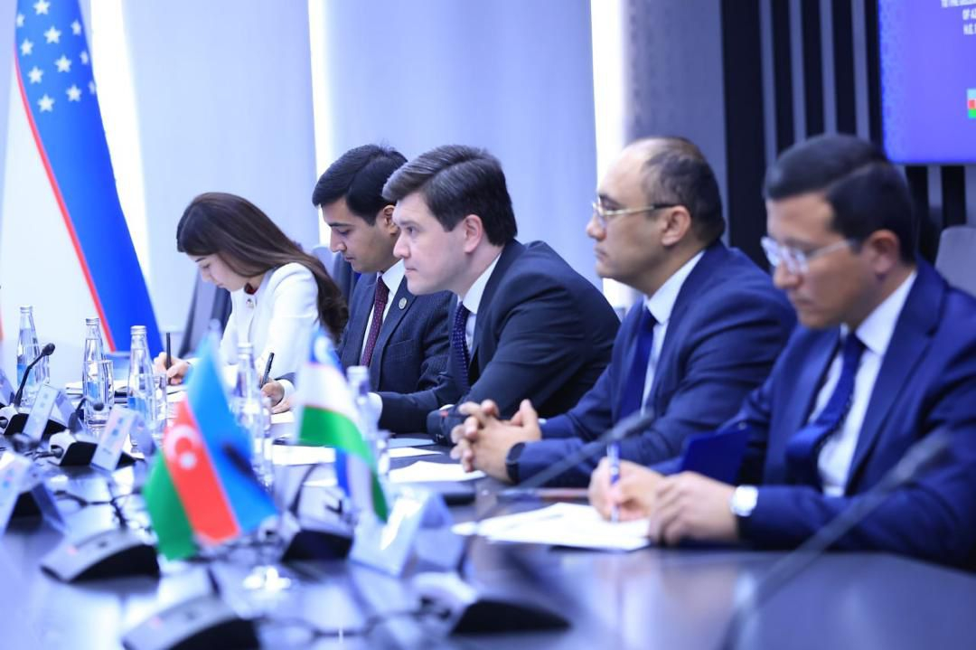 Nazir Özbəkistanın ali təhsil, elm və innovasiyalar nazirinin birinci müavini ilə görüşüb