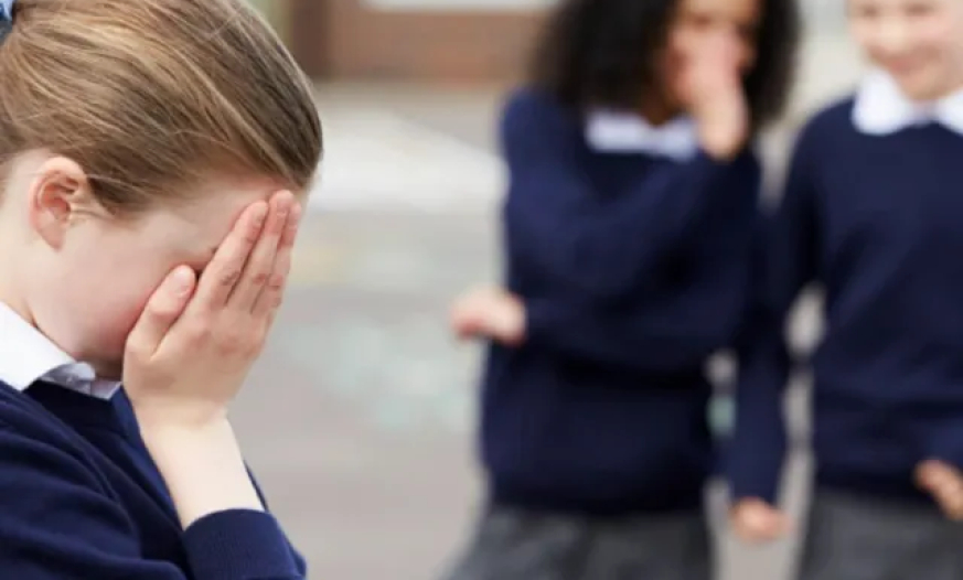 Bullinq və erkən nikah hallarında məktəbdə hansı tədbirlər görülür?