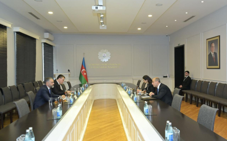 Elm və təhsil naziri Albaniyanın səfiri ilə görüşüb 